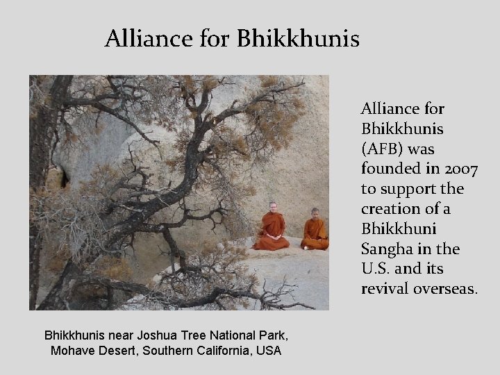 Alliance for Bhikkhunis (AFB) was founded in 2007 to support the creation of a