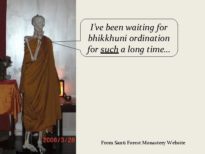 I’ve been waiting for bhikkhuni ordination for such a long time… From Santi Forest