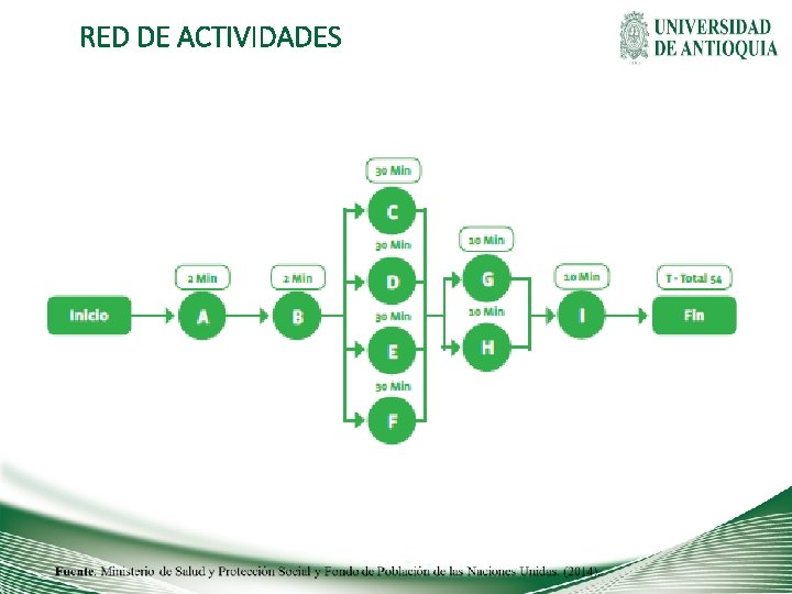RED DE ACTIVIDADES 