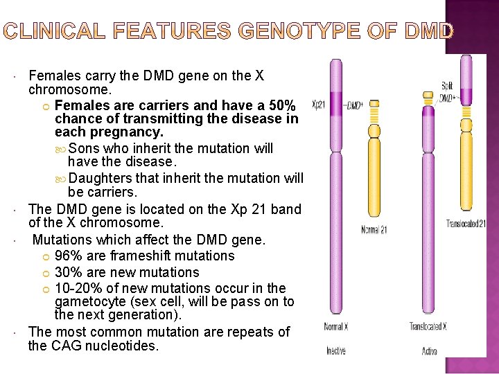  Females carry the DMD gene on the X chromosome. Females are carriers and