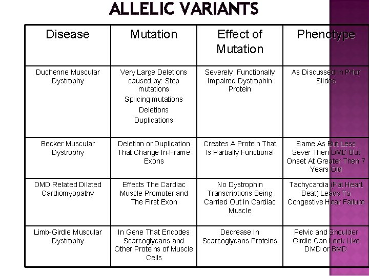 ALLELIC VARIANTS Disease Mutation Effect of Mutation Phenotype Duchenne Muscular Dystrophy Very Large Deletions