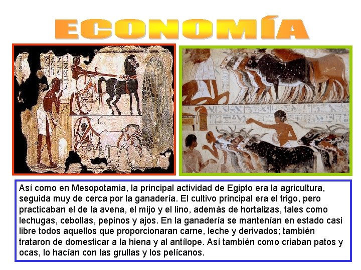 Así como en Mesopotamia, la principal actividad de Egipto era la agricultura, seguida muy