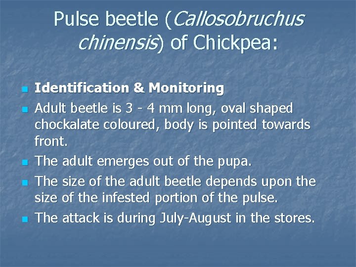 Pulse beetle (Callosobruchus chinensis) of Chickpea: n n n Identification & Monitoring Adult beetle Pulse beetle (Callosobruchus chinensis) of Chickpea: n n n Identification & Monitoring Adult beetle