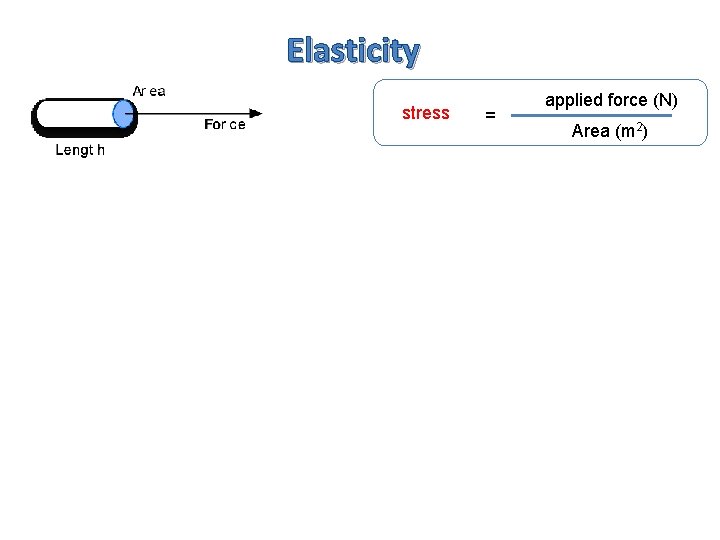 Elasticity stress = applied force (N) Area (m 2) 