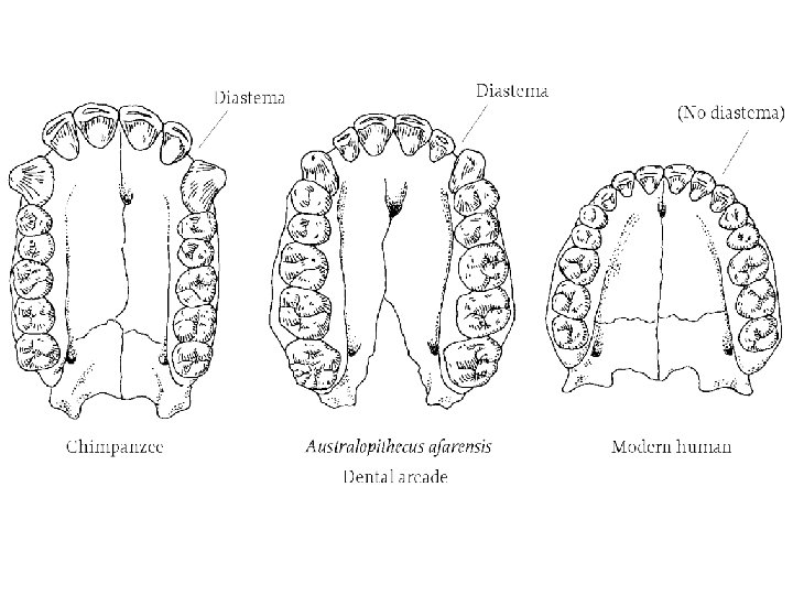 Figure 11. 10 a 