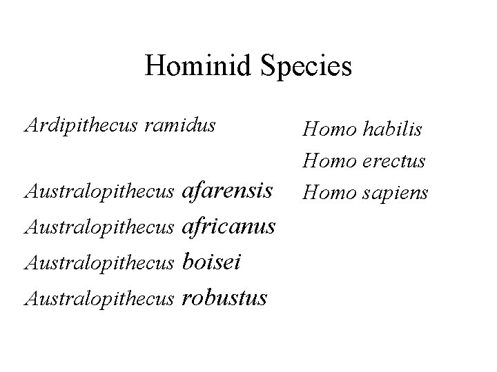 Hominid Species Ardipithecus ramidus Australopithecus afarensis Australopithecus africanus Australopithecus boisei Australopithecus robustus Homo habilis