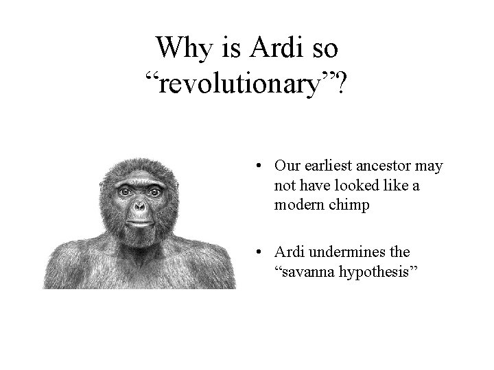 Why is Ardi so “revolutionary”? • Our earliest ancestor may not have looked like