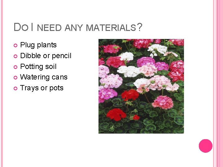 DO I NEED ANY MATERIALS? Plug plants Dibble or pencil Potting soil Watering cans