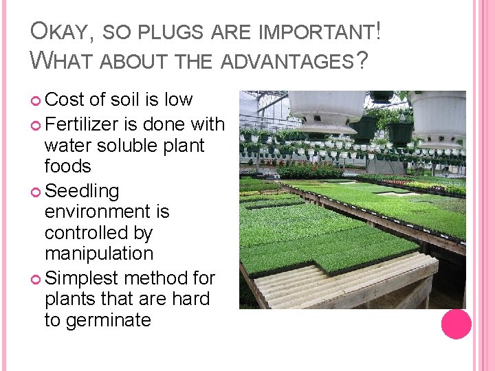 OKAY, SO PLUGS ARE IMPORTANT! WHAT ABOUT THE ADVANTAGES? Cost of soil is low