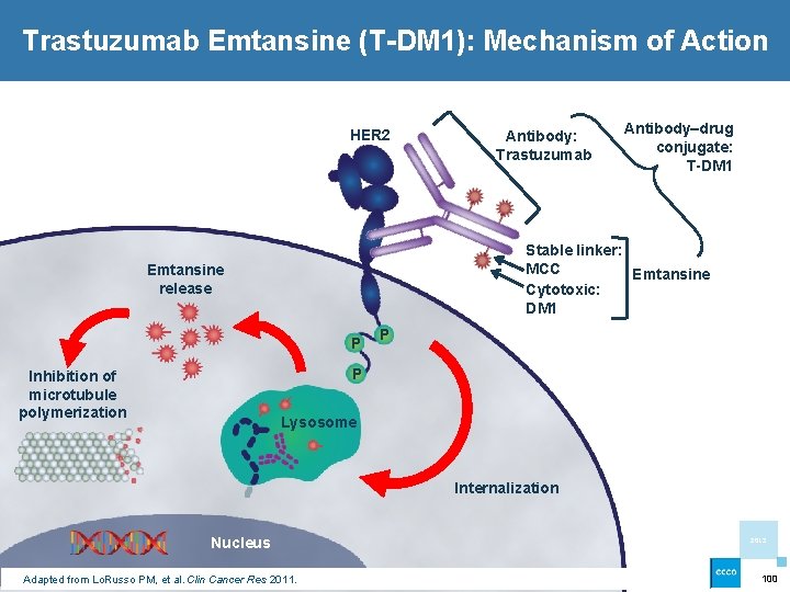 Trastuzumab Emtansine (T-DM 1): Mechanism of Action HER 2 Antibody: Trastuzumab Antibody–drug conjugate: T-DM