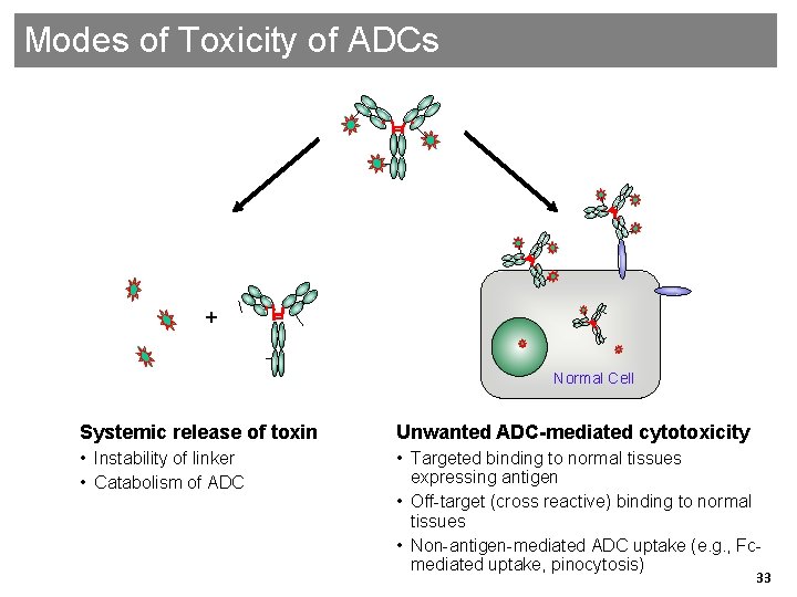 Modes of Toxicity of ADCs + Normal Cell Systemic release of toxin Unwanted ADC-mediated
