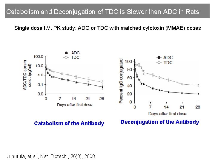 Catabolism and Deconjugation of TDC is Slower than ADC in Rats Single dose I.