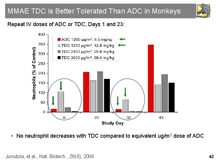 MMAE TDC is Better Tolerated Than ADC in Monkeys Repeat IV doses of ADC