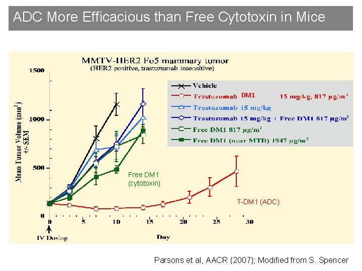 ADC More Efficacious than Free Cytotoxin in Mice DM 1 Free DM 1 (cytotoxin)