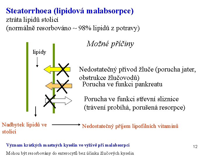 Steatorrhoea (lipidová malabsorpce) ztráta lipidů stolicí (normálně resorbováno ~ 98% lipidů z potravy) Možné