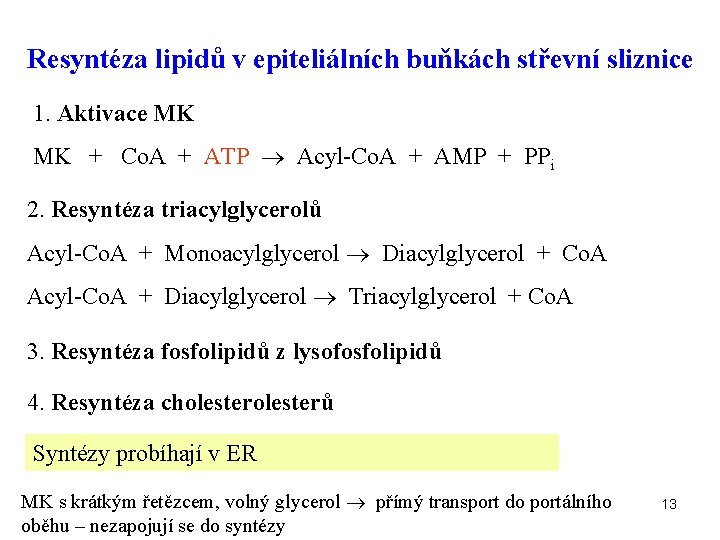 Resyntéza lipidů v epiteliálních buňkách střevní sliznice 1. Aktivace MK MK + Co. A