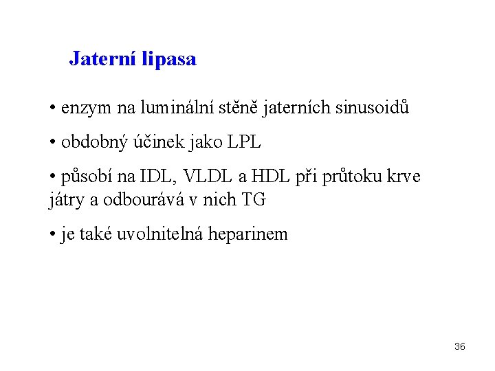 Jaterní lipasa • enzym na luminální stěně jaterních sinusoidů • obdobný účinek jako LPL