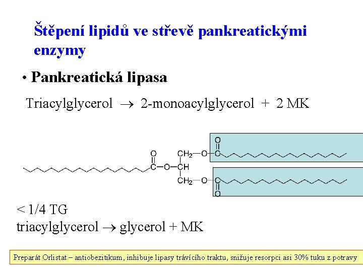 Štěpení lipidů ve střevě pankreatickými enzymy • Pankreatická lipasa Triacylglycerol 2 -monoacylglycerol + 2