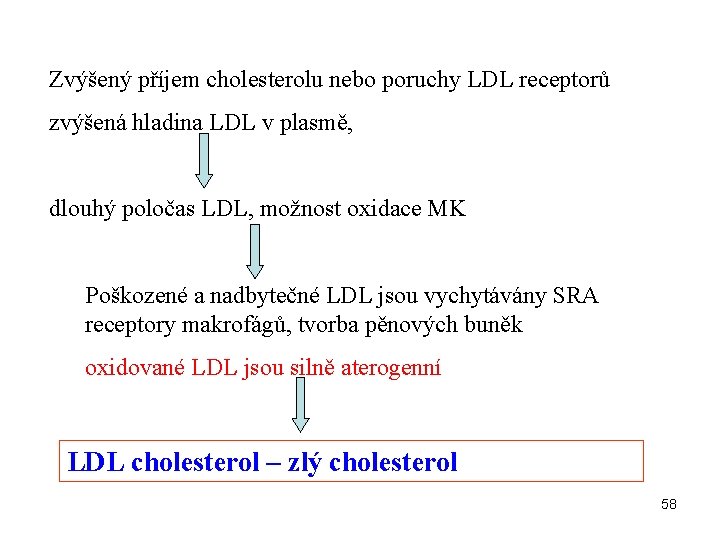 Zvýšený příjem cholesterolu nebo poruchy LDL receptorů zvýšená hladina LDL v plasmě, dlouhý poločas