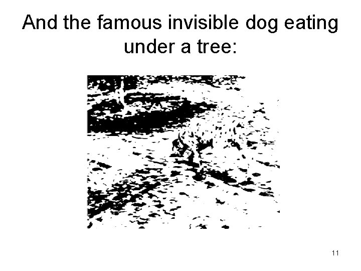 And the famous invisible dog eating under a tree: 11 