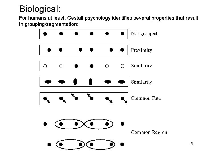 Biological: For humans at least, Gestalt psychology identifies several properties that result In grouping/segmentation: