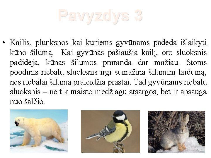 Pavyzdys 3 • Kailis, plunksnos kai kuriems gyvūnams padeda išlaikyti kūno šilumą. Kai gyvūnas
