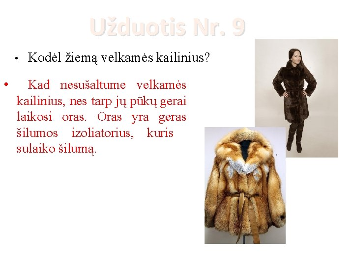 Užduotis Nr. 9 • • Kodėl žiemą velkamės kailinius? Kad nesušaltume velkamės kailinius, nes