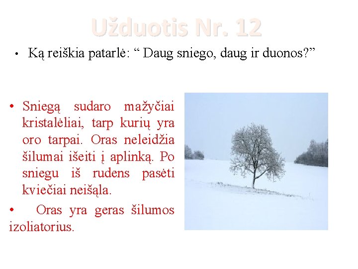 Užduotis Nr. 12 • Ką reiškia patarlė: “ Daug sniego, daug ir duonos? ”