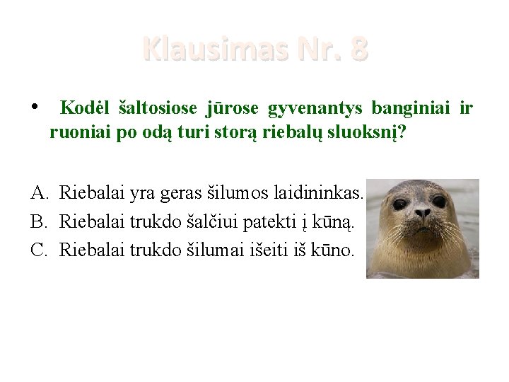 Klausimas Nr. 8 • Kodėl šaltosiose jūrose gyvenantys banginiai ir ruoniai po odą turi