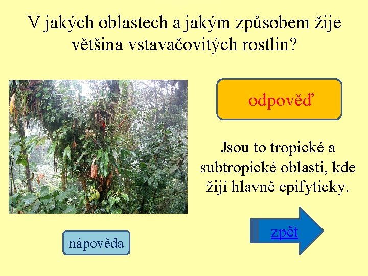 V jakých oblastech a jakým způsobem žije většina vstavačovitých rostlin? odpověď Jsou to tropické