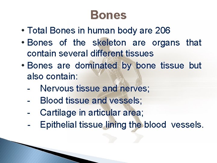 Bones • Total Bones in human body are 206 • Bones of the skeleton