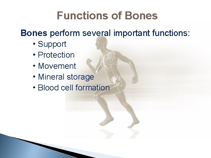 Functions of Bones perform several important functions: • Support • Protection • Movement •