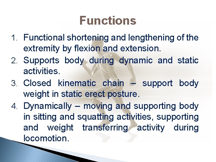Functions 1. Functional shortening and lengthening of the extremity by flexion and extension. 2.