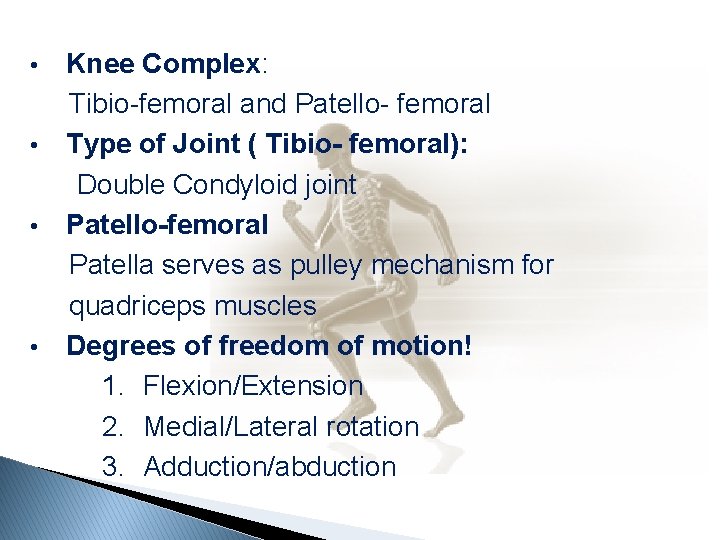 Knee Complex: Tibio-femoral and Patello- femoral • Type of Joint ( Tibio- femoral): Double