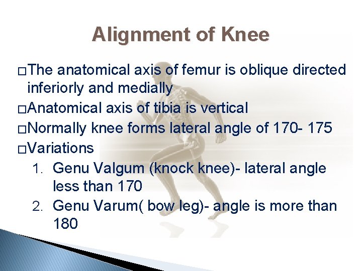 Alignment of Knee �The anatomical axis of femur is oblique directed inferiorly and medially