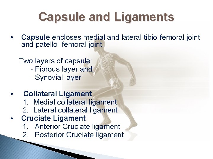 Capsule and Ligaments • Capsule encloses medial and lateral tibio-femoral joint and patello- femoral