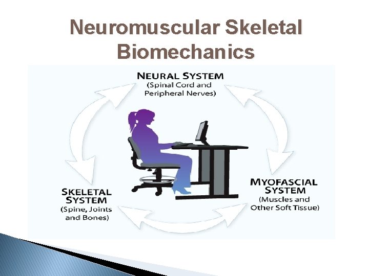 Neuromuscular Skeletal Biomechanics 