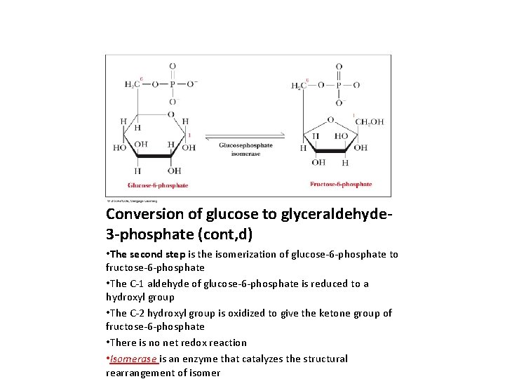 Conversion of glucose to glyceraldehyde 3 -phosphate (cont, d) • The second step is