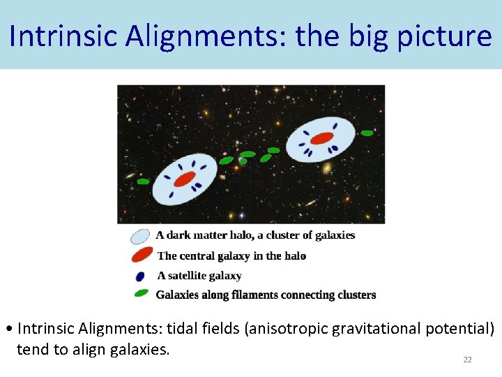 Intrinsic Alignments: the big picture • Intrinsic Alignments: tidal fields (anisotropic gravitational potential) tend