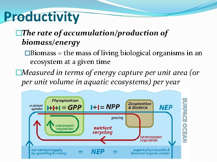 Productivity �The rate of accumulation/production of biomass/energy �Biomass = the mass of living biological