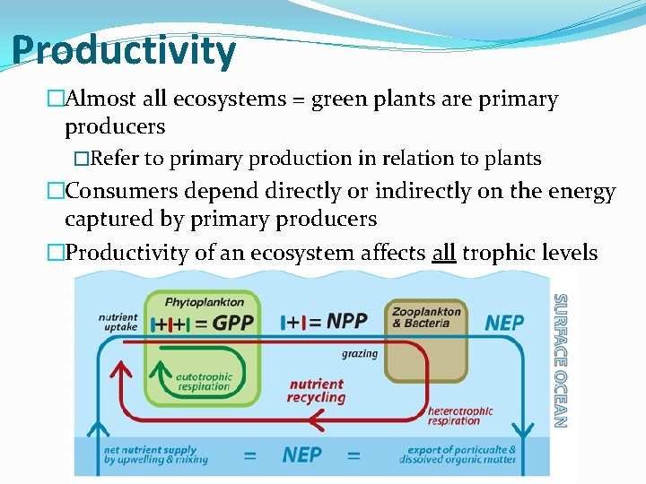 Productivity �Almost all ecosystems = green plants are primary producers �Refer to primary production Productivity �Almost all ecosystems = green plants are primary producers �Refer to primary production
