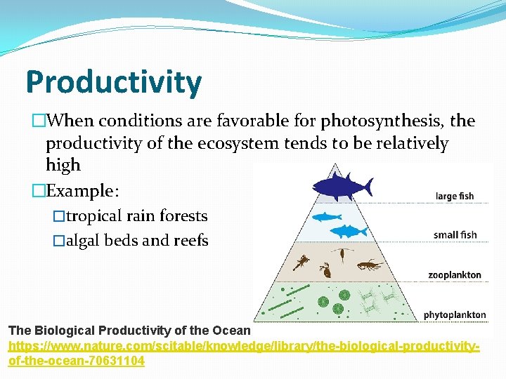 Productivity �When conditions are favorable for photosynthesis, the productivity of the ecosystem tends to Productivity �When conditions are favorable for photosynthesis, the productivity of the ecosystem tends to