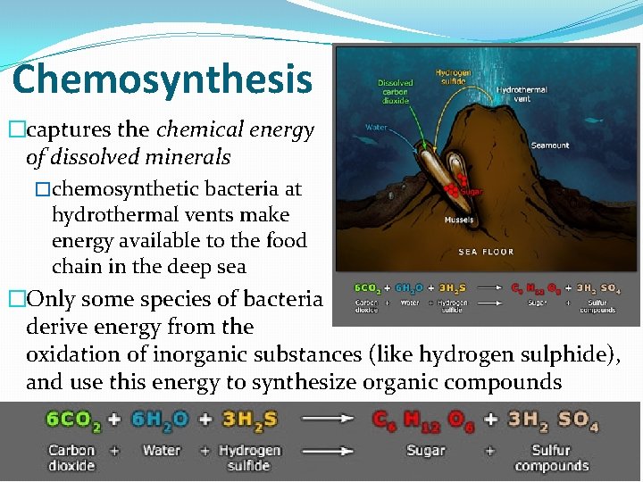 Chemosynthesis �captures the chemical energy of dissolved minerals �chemosynthetic bacteria at hydrothermal vents make