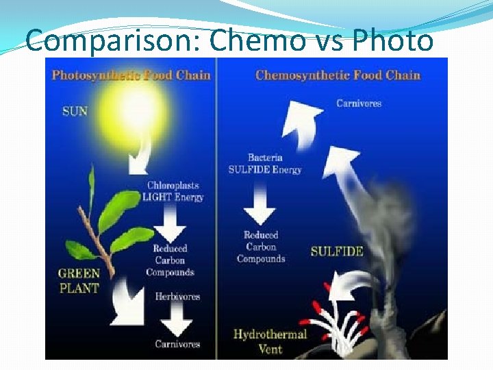 Comparison: Chemo vs Photo 
