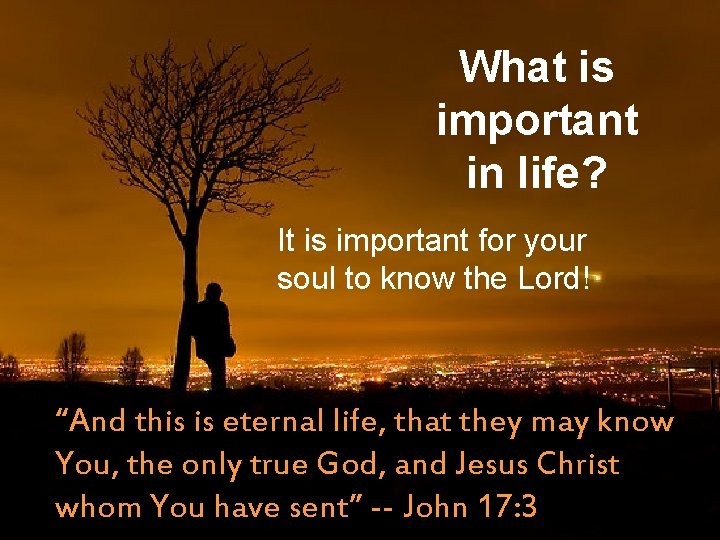 What is important in life? It is important for your soul to know the