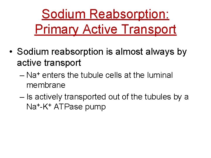 Sodium Reabsorption: Primary Active Transport • Sodium reabsorption is almost always by active transport
