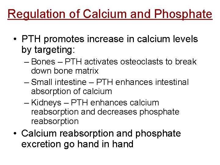 Regulation of Calcium and Phosphate • PTH promotes increase in calcium levels by targeting: