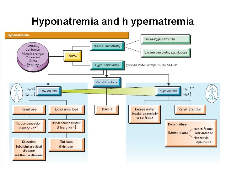 Hyponatremia and h ypernatremia 