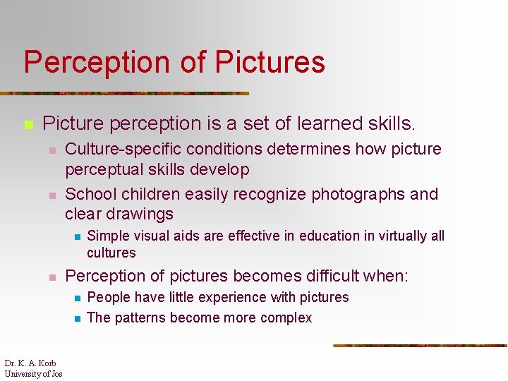 Perception of Pictures n Picture perception is a set of learned skills. n n
