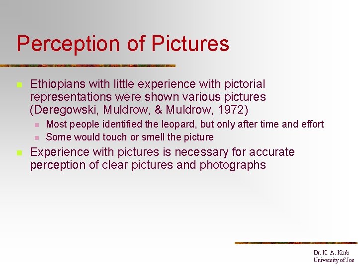 Perception of Pictures n Ethiopians with little experience with pictorial representations were shown various